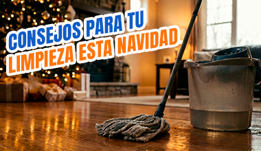 Img [CONSEJOS PARA REALIZAR UNA CORRECTA LIMPIEZA ESTA NAVIDAD ]