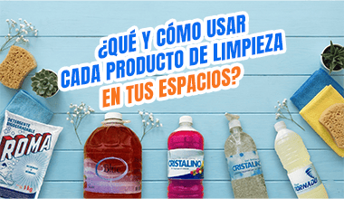 Img [¿Qué y cómo usar para una gran  limpieza? ]
