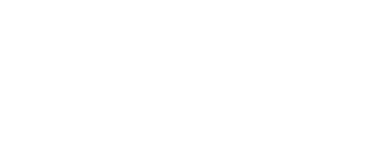 Logo Brisol